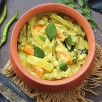 Avial e1731499842133 1