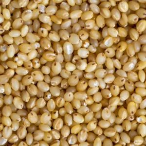 Foxtail wholemillet scaled