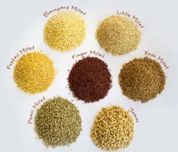 IMG 20220126 183421 IMG 20220126 183421