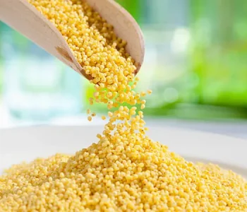 Millet 001 1 Millet 001 1