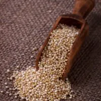 quinoa