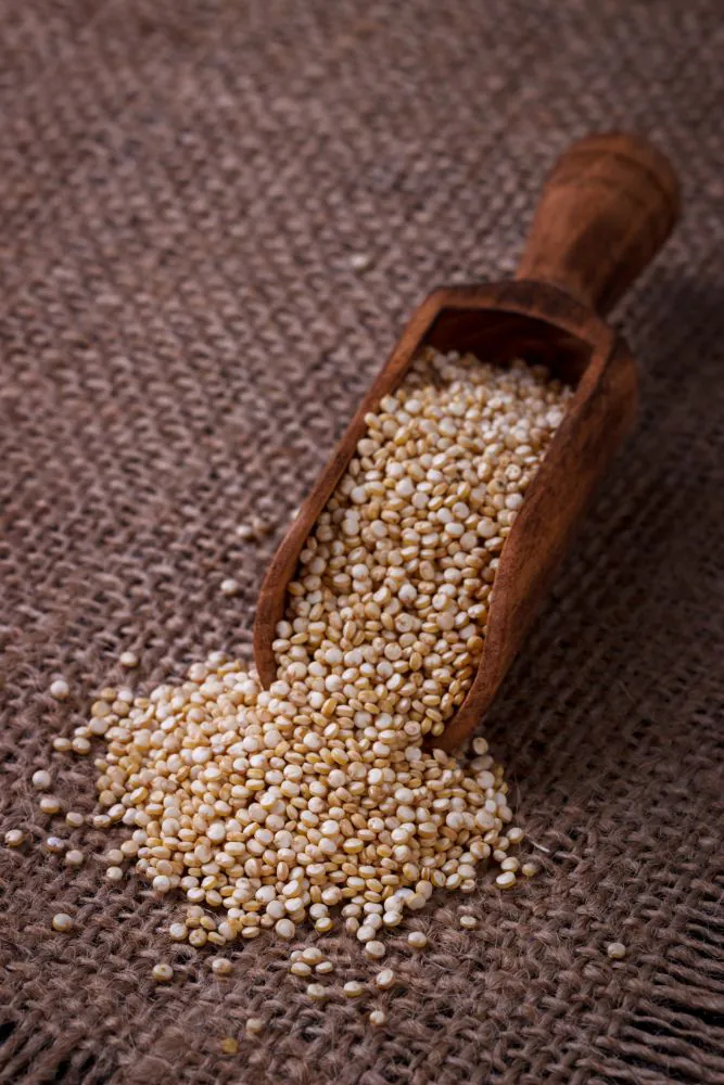 quinoa