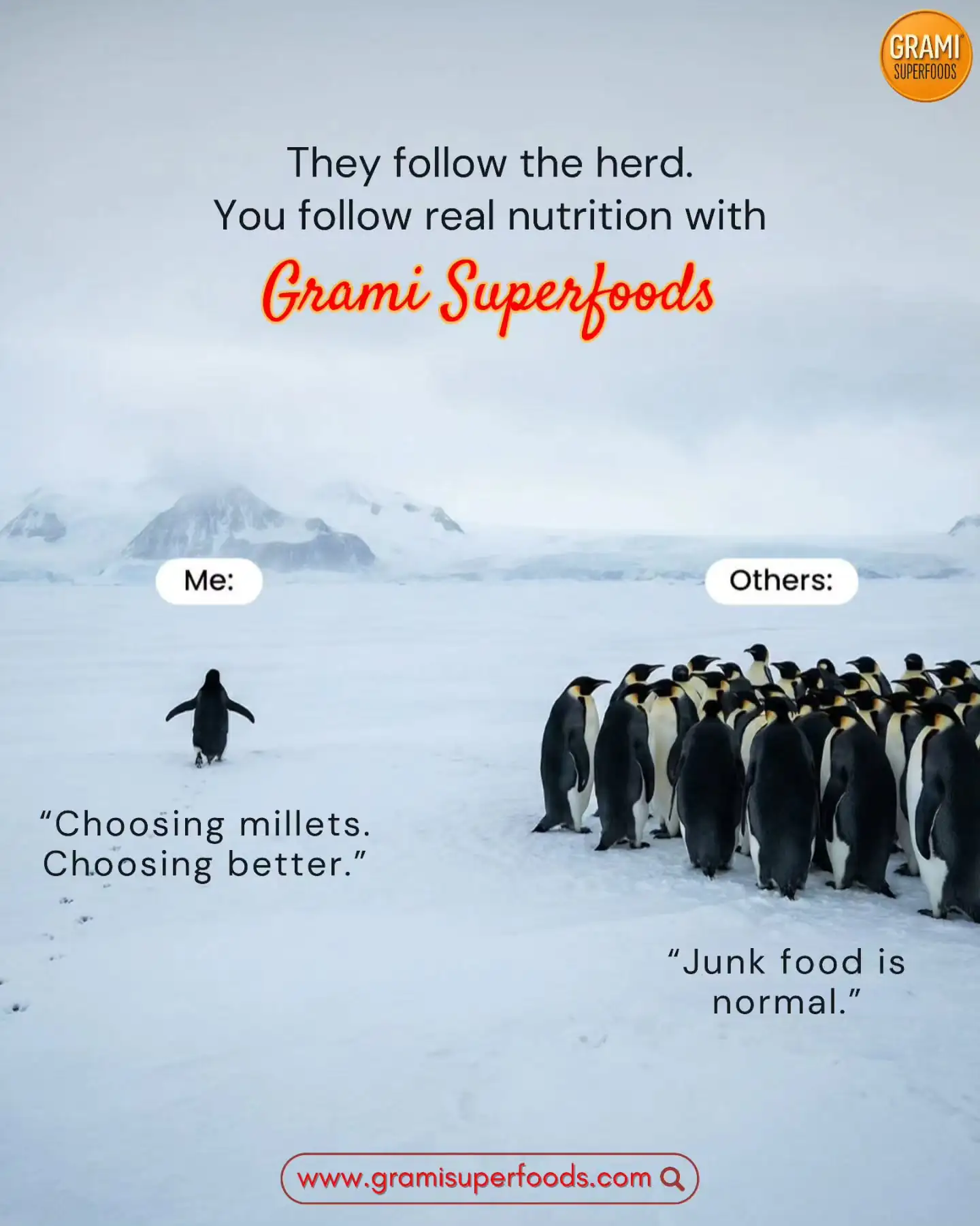 624328475 18422092852188578 2584010468413806104 n