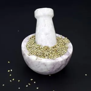 stock photo pearl millet seeds also know bajra bajri bulrush millet indian 1