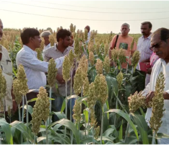 27mar19 fig1 27mar19 fig1